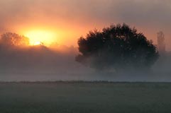 Sonnenaufgang - Zum Vergroessern klicken!